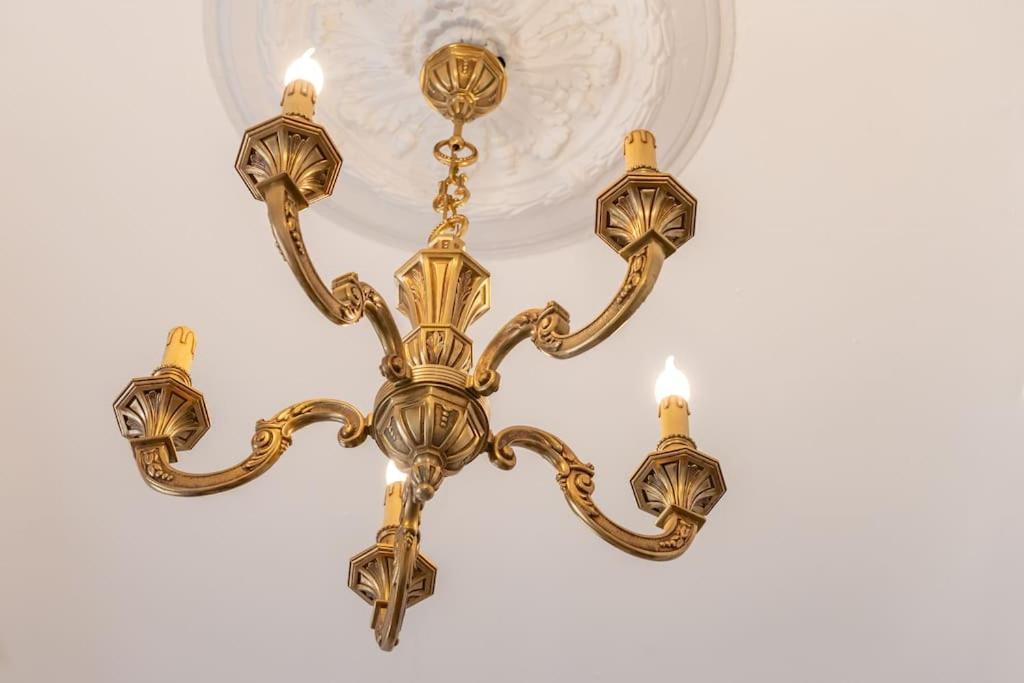 Appartamento Magnolia Magnifique T2 Entierement Renove. Montauban Esterno foto